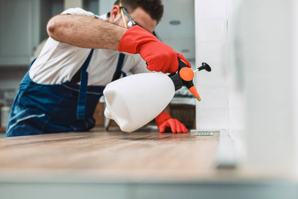 شركة مكافحة حشرات فى اسيوط 01060503420 خصم 50% 
